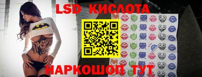 гидропоника Пушкино