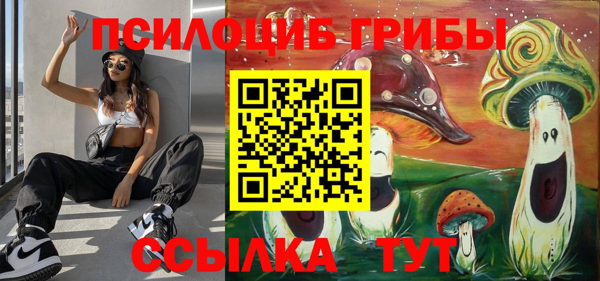 купить наркоту  Галлюциногенные грибы мицелий  Галлюциногенные грибы Psilocybine cubensis  Вход с VPN  Псков 
