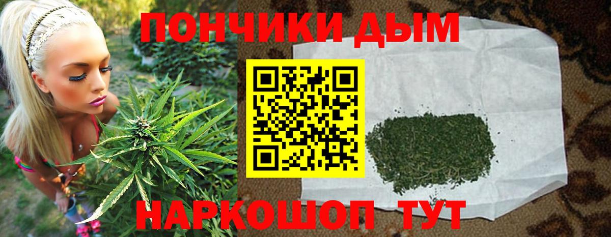 Каннабис сатива Псков